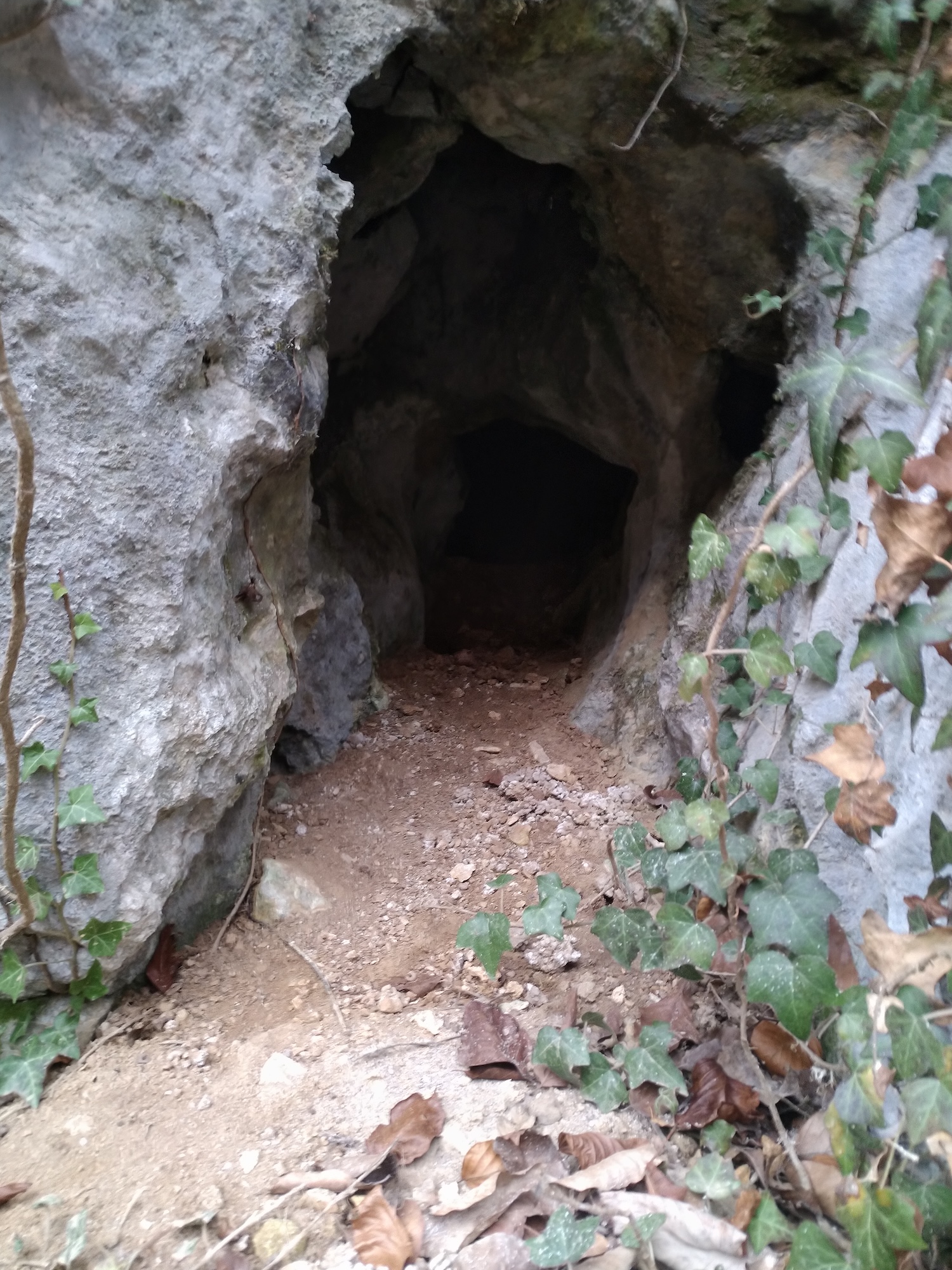 Peștera din Stâncă - Image 3